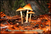 Make a memory that makes you smile tomorrow