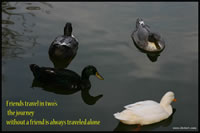 Friends travel in two's; the journey without a friend is always traveled alone