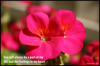 You will always be a part of my life and the feelings in my heart