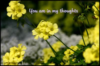 You are in my thoughts