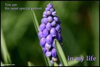 You are the most special person in my life