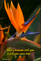 Every moment with you is a dream come true