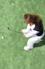 golf14